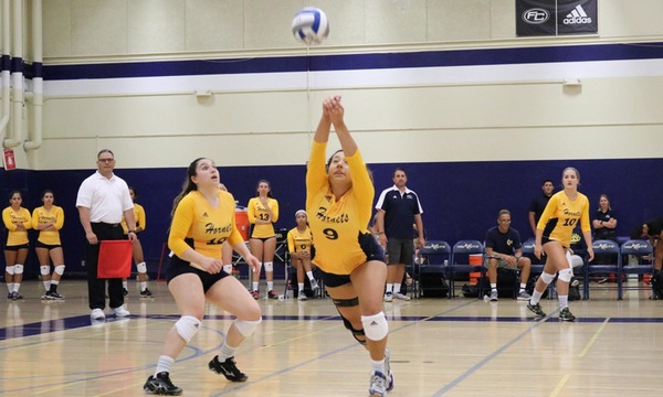 WOMEN'S VOLLEYBALL: HORNETS SWEEP DONS