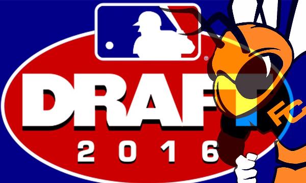 BASEBALL: 5 HORNETS IN THE 2016 MLB DRAFT!