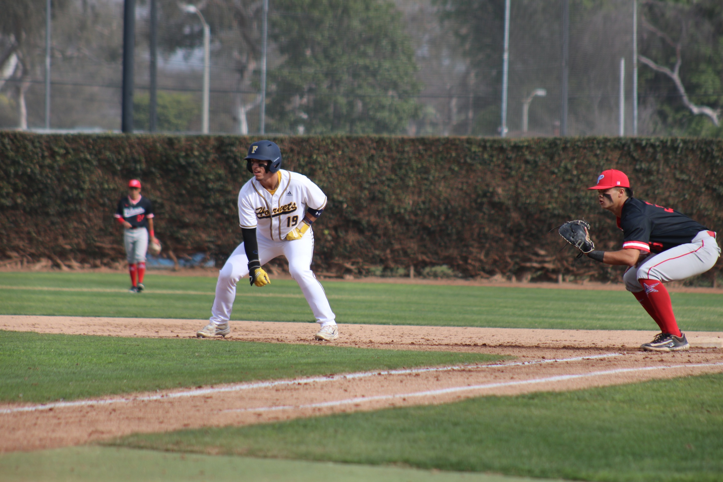 SERIES SPLIT WITH PALOMAR