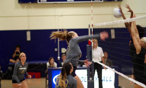 WOMEN'S VOLLEYBALL: BLANKED BY THE TIGERS