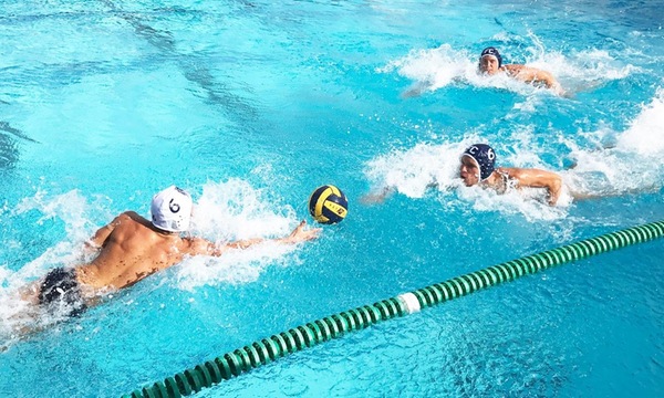 MEN'S WATER POLO: HORNETS OVERPOWER CHARGERS