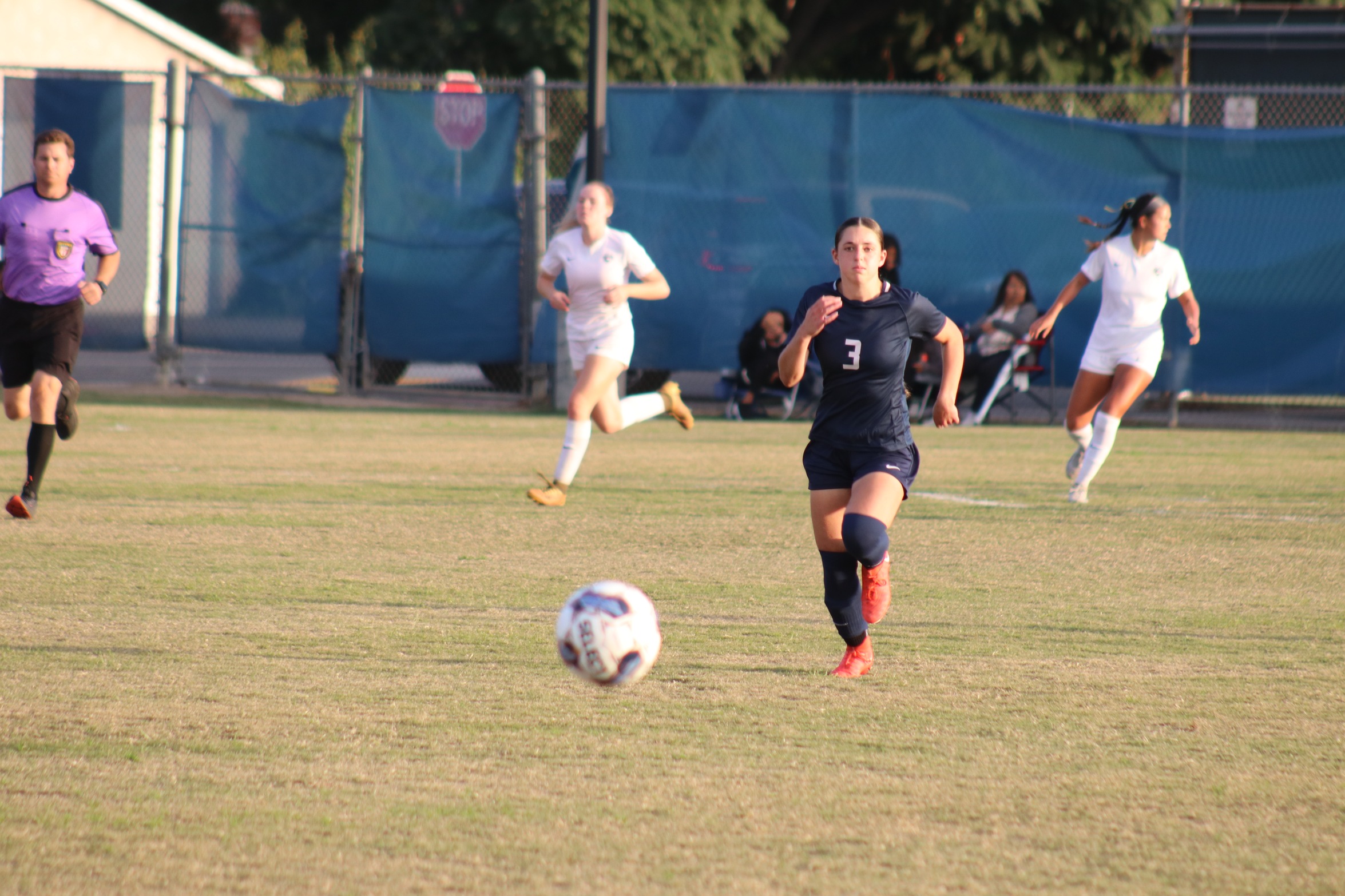 HORNETS & FALCONS FLY INTO A TIE