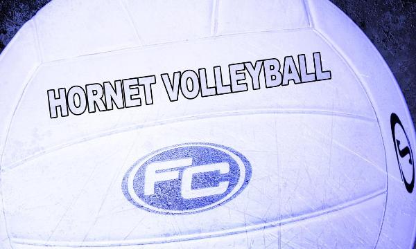 WOMEN'S VOLLEYBALL: SWEEP OVER DONS