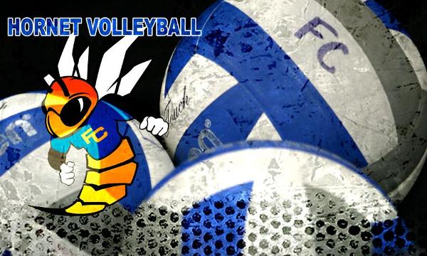 WOMEN'S VOLLEYBALL: HARD ROAD LOSS