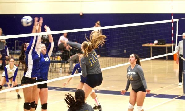 WOMEN'S VOLLEYBALL: FC BRINGS DOWN THE HAWKS